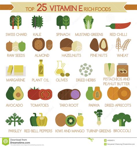 Maybe you would like to learn more about one of these? Top 25 Vitamin E Rich Foods Stock Vector - Illustration of ...