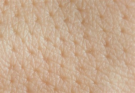 New Insights Into Skin Cells Could Explain Why Our Skin Doesnt Leak