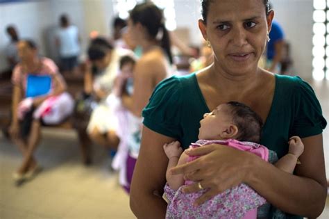 microcephaly cases up 10 in brazil amid zika scare emirates24 7