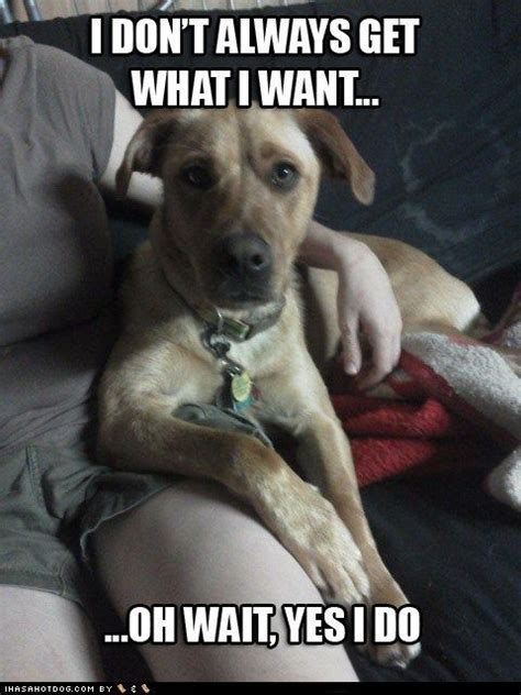 The Most Spoiled Dog In The World Puppy Love Quotes Dog Memes Funny