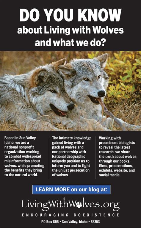 In The News Living With Wolves