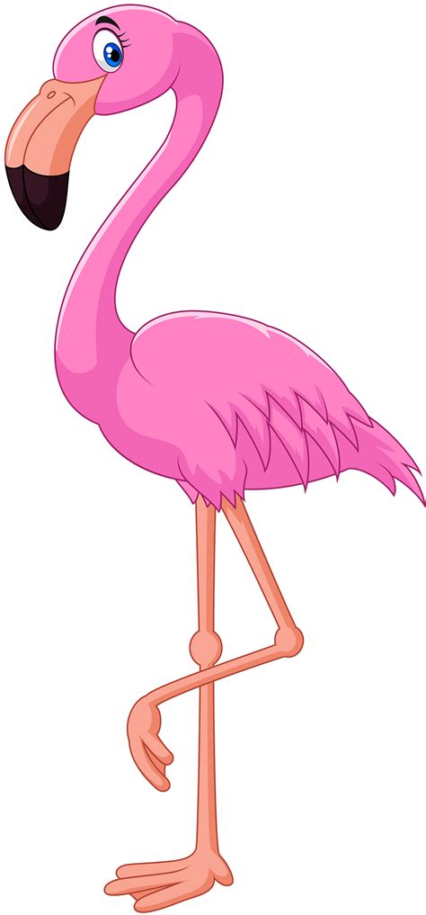 Pink Flamingo Cartoon Clipart Clipart Kid 2 Clipartix