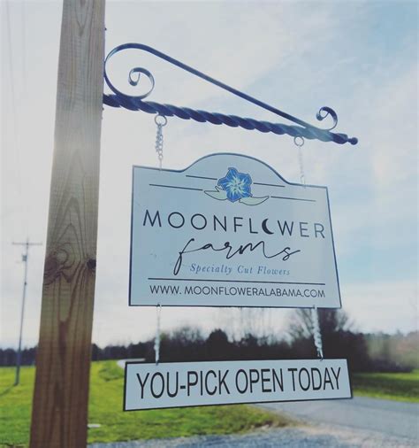 Moonflower Farms Is A U Pick Flower Farm In Alabama