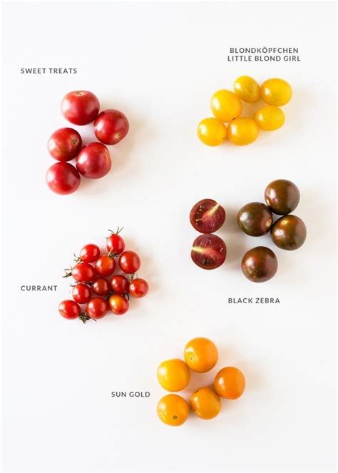 A Guide To Heirloom Tomatoes Heirloom Tomatoes Tomato Amazing Food