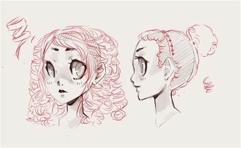 How To Draw Hair Trichology For Illustrators Draw Central