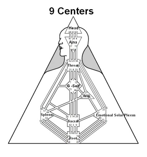 Human Design For Everyone How To Stay Awake And Do Your