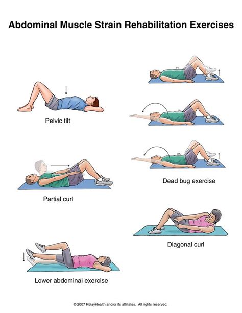 45 Ab Workouts Lower Back Pain Fat Burning Extremeabsworkout