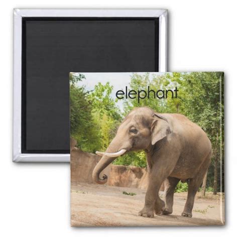 Elephant Refrigerator Magnet Zazzle