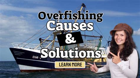 Overfishing Causes Of Overfishing And Overfishing Solutions