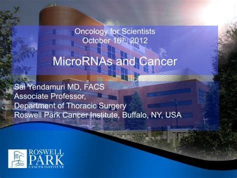 Microrna And Lung Cancer Roswell Park Cancer Institute