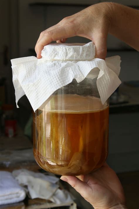 A Guide To Making Kombucha At Home Get Your Scoby And Get To Steeping Kombucha How To Make