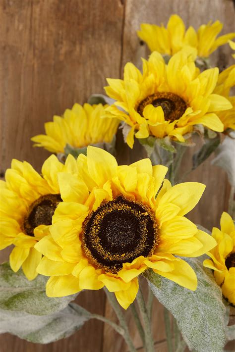 Sunflower Spray Yellow 24in Pack Of 12