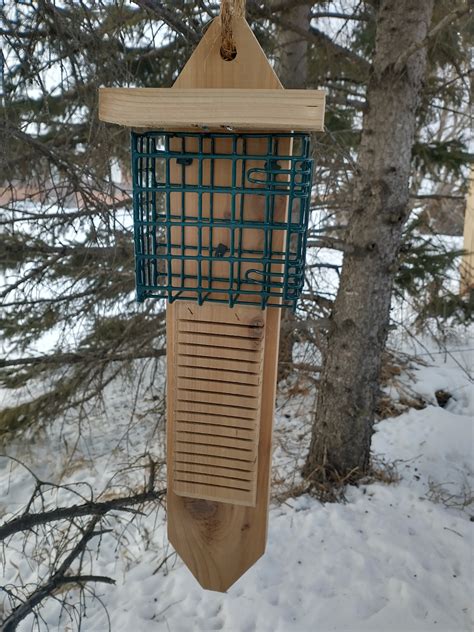 New Single Sided Pileated Woodpecker Suet Feeder With Tail Etsy