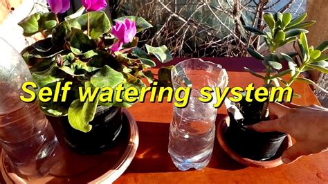 How To Make Self Watering System For Plants Youtube