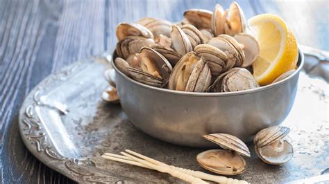 Types Of Clams Guide With Graphic And Clam Names
