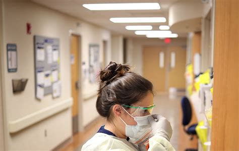 Maine Cdc Reports Case Of Powassan Virus