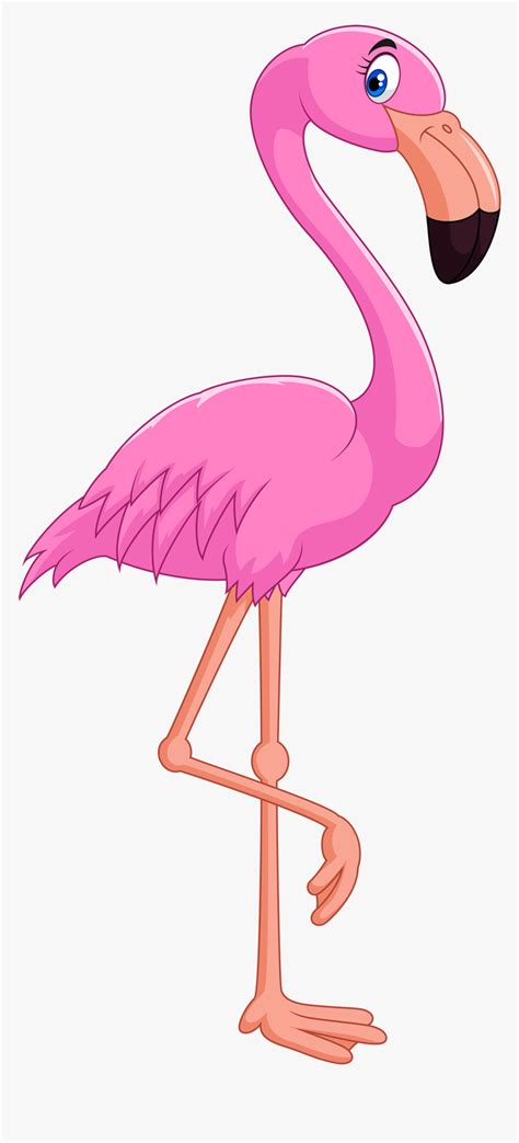 Flamingo Clipart Clipart Flamingo Hd Png Download Kindpng