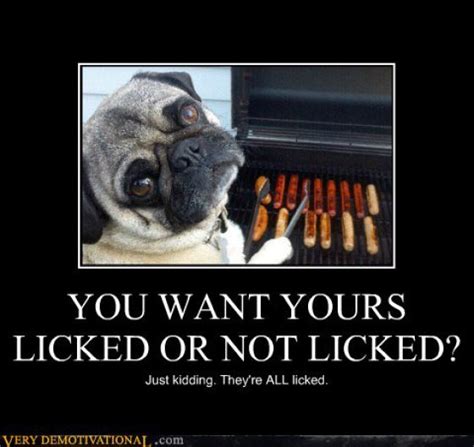 You Want Yours Licked Or Not Licked Funny Pictures Quotes Pics