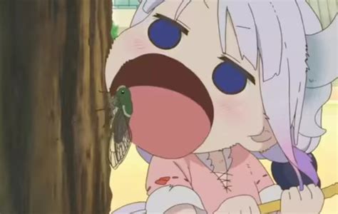Kanna Eating Something Weird Anime Anime Songs Dragon Youtube