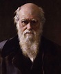File:Charles Robert Darwin by John Collier cropped.jpg - Wikimedia Commons