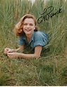 Lee Remick - Movies & Autographed Portraits Through The Decades