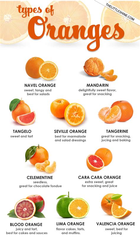 Types Of Oranges And How To Use Them The Little Shine