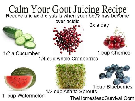 Calm Your Gout Flare Up Juicing Recipe The Homestead Survival
