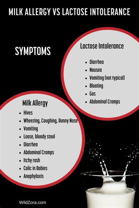 Milk Allergy Vs Lactose Intolerance What You Need To Know Milk