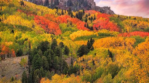 Colorado Fall Forest San Juan Mountains Hd Nature Wallpapers Hd