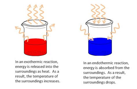 Absorb meaning, definition, what is absorb: Exothermic vs. Endothermic: Chemistry's Give and Take ...