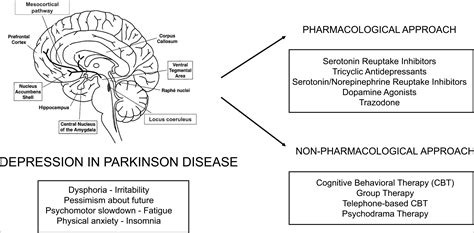 Drug Choices And Advancements For Managing Depression In Parkinsons
