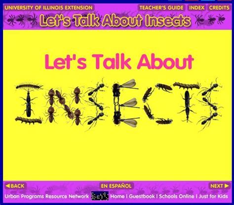 Insects~ Great Interactive Web Based Resource To Learn Interesting