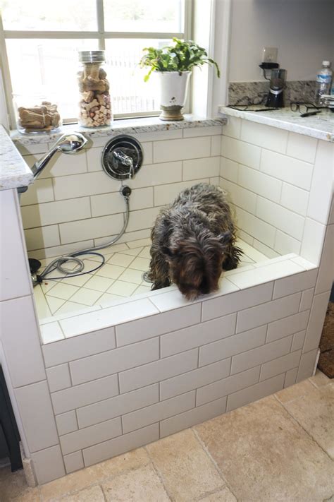 Dog Shower In 2019 Dog Rooms Laundry Room Dog Washing