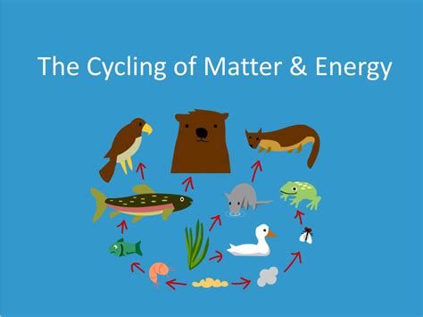 Ppt The Cycling Of Matter And Energy Powerpoint Presentation Free