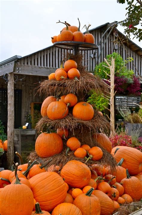24 Indoor And Outdoor Tree Halloween Decorations Ideas