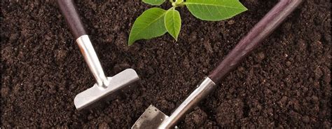Maybe you would like to learn more about one of these? Where Can I Buy Garden Soil In Bulk | Home and Garden Designs