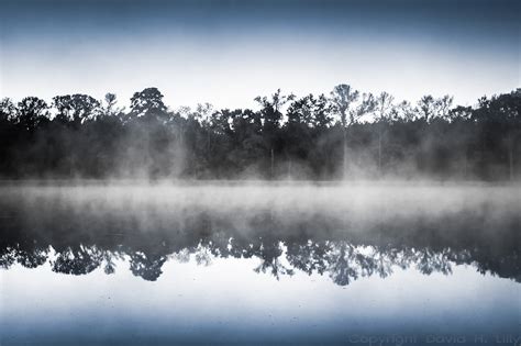 Wallpaper Reflection Nature Black And White Sky Mist Tree