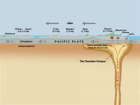 Earths Crust Oceanic Crust Vs Continental Crust Earth How