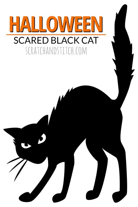 Halloween Scared Black Cat Silhouette In The Window Free Download By