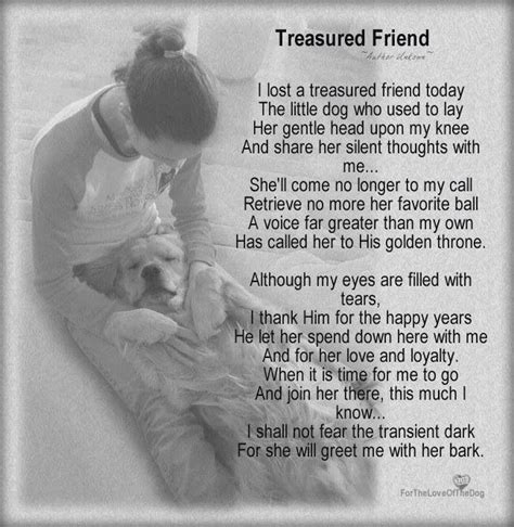 Rescue Dog Poems Dog Quotes Pet Loss Grief