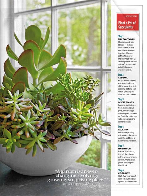 Is a provider of gourmet food and floral gifts for all occasions. Grow One Lush Garden Southern Living Magazine January 2016 ...