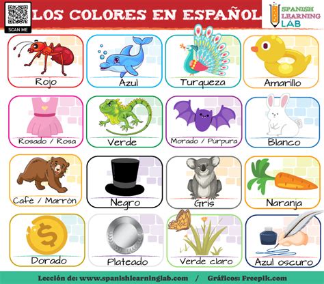 Los Colores En Español Oraciones Y Ejercicios Spanish Learning Lab