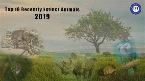 Top 10 Recently Extinct Animals 2019 Critically Endanger Vanished