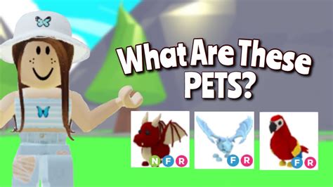 The ultimate fortnite 2020 quiz. Adopt Me Quiz 2020 : Which Pet From Roblox Adopt Me Are You Roblox Quiz - thejerkshack