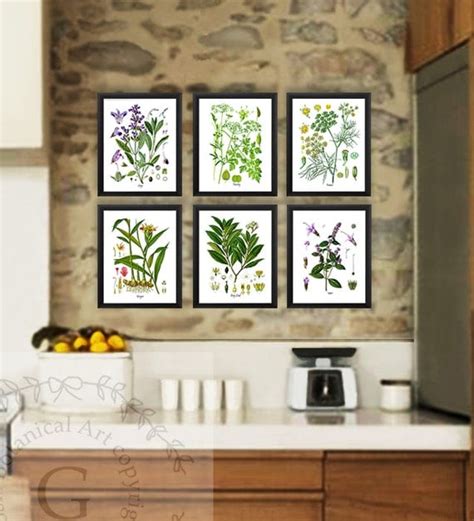 Kitchen Herb Botanical Prints Set Of 6 Kitchen Herbs Wall Art