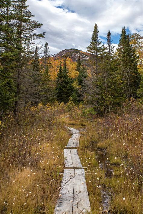 Sugarloaf Autumn Path Photograph By Chris Whiton