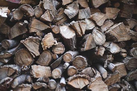 Why Burning Unseasoned Wood Increases Chimney Cleanings