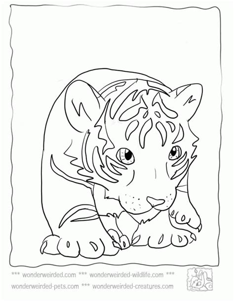 Baby Tiger Coloring Pages Coloring Home