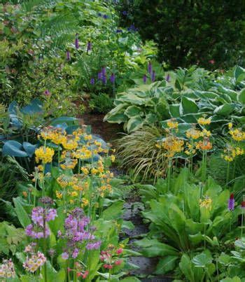 Traubenhyazinthen sind passende pflanzen für schattige plätze im garten und werden von schnecken verschmäht  Schattengarten, Garten und ...