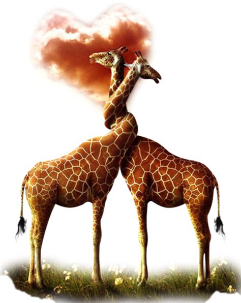 Giraffes Freetoedit Giraffes Sticker By Cherigoodman59